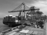 Human Trafficking in the Supply Chain