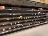 COVID19 Supply Chain Impacts and Resources