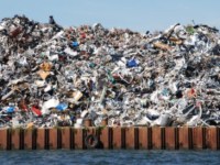 Supply Chain and the Circular Economy